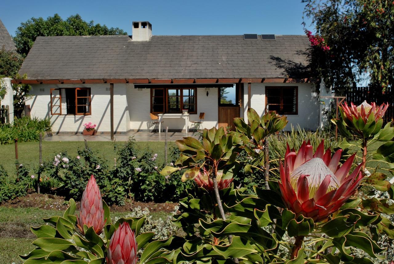 Heatherhill Farmhouse - Sea & Mountain Views Plettenberg Bay Luaran gambar