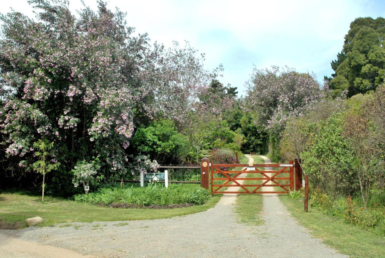 Heatherhill Farmhouse - Sea & Mountain Views Plettenberg Bay Luaran gambar