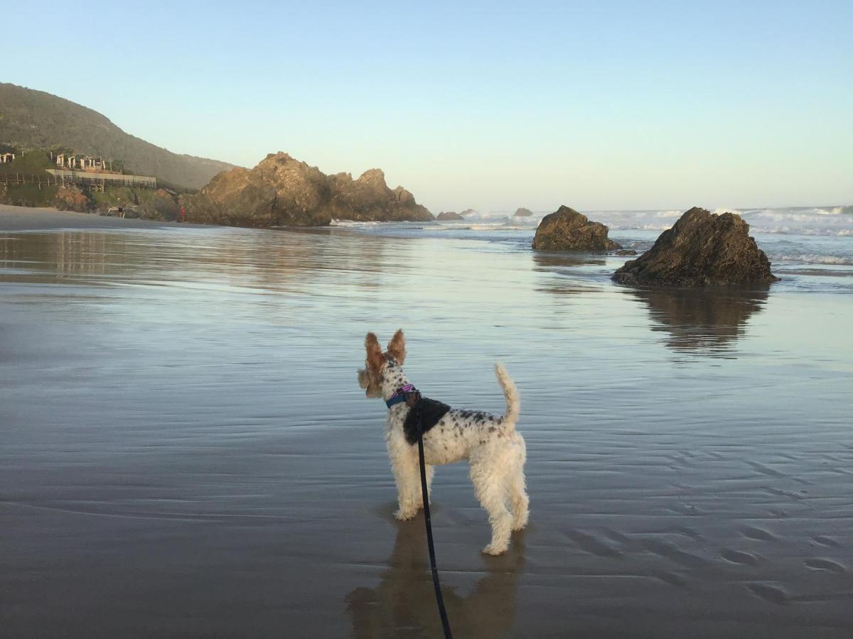 Heatherhill Farmhouse - Sea & Mountain Views Plettenberg Bay Luaran gambar