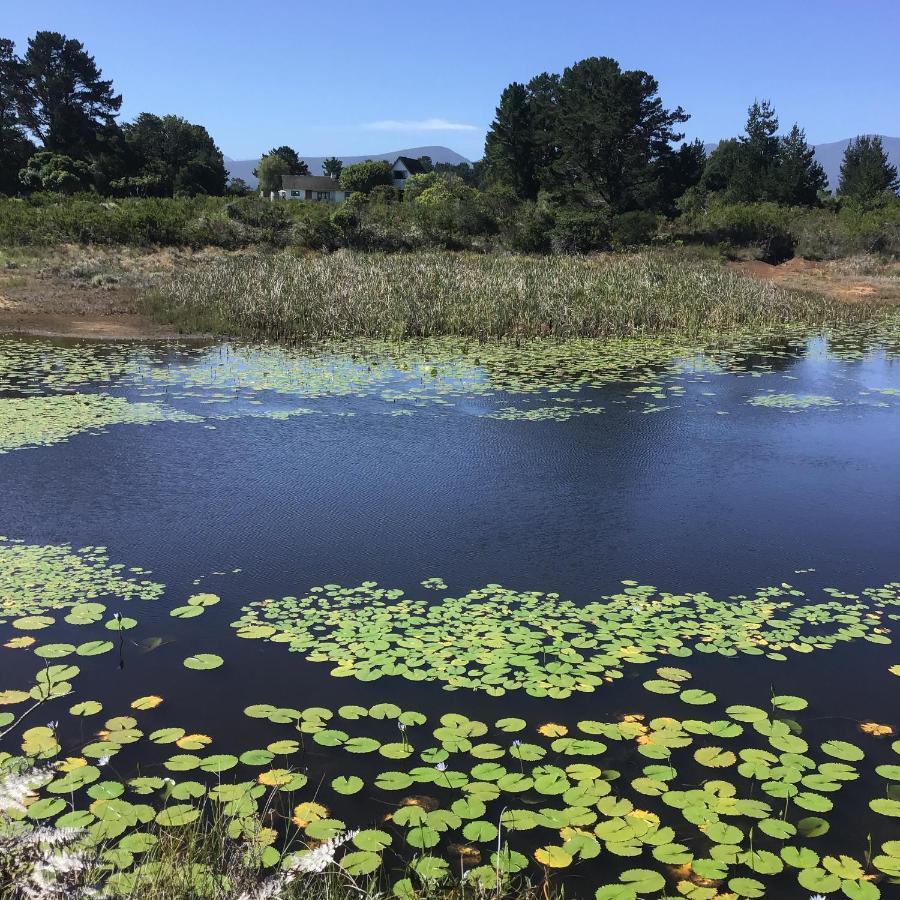 Heatherhill Farmhouse - Sea & Mountain Views Plettenberg Bay Luaran gambar